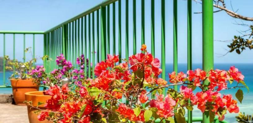 Manfiyo Guest House Anse Boileau Екстер'єр фото