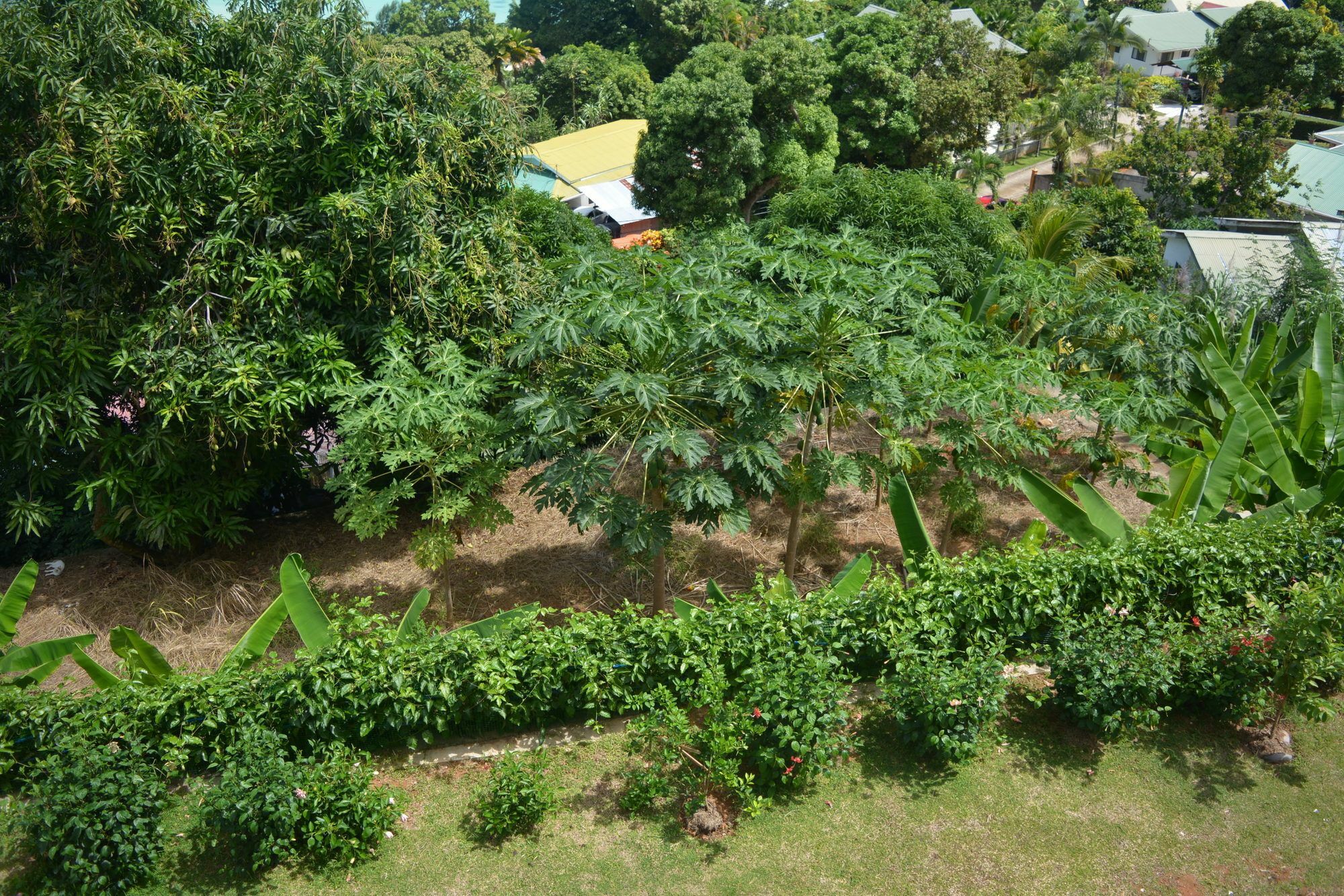 Manfiyo Guest House Anse Boileau Екстер'єр фото